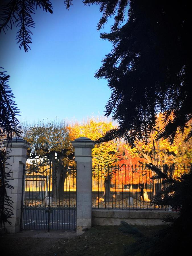 Manoir 1838 A - 3 Km Du Zoo De Beauval & Proche Des Chateaux Сен-Анян Екстериор снимка